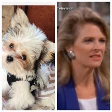 Can you guess the name of my dog?