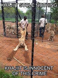 Khajiit Stole Nothing R Elderscrolls