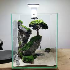 Nano Cube Planted Tank Ancient Rock Mountain With Cladhopora Moss Aquarium Landscape Freshwater Plants Aquarium Design