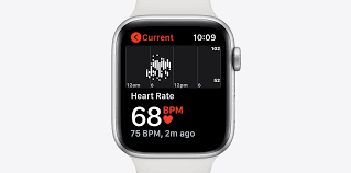 Apple Watch Series 5 With Heart Rate Monitor Apple Watch Heart Rate Monitor Apple Watch Series