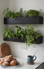 The sustainable seed company windowsill herb gardening kit comes with everything you need to start a small herb garden indoors on your windowsill. 15 For 2015 Best Garden Design Trends For Fall Gardenista Herb Garden In Kitchen Kitchen Herbs Indoor Herb Garden