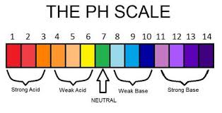 ph scale and indicators embrace the base and acid