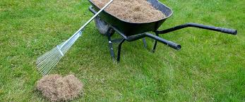 Serving the o'fallon, mo community since 2001, best lawn care is a licensed and certified business offering lawn and shrub care programs, mosquito control, and pest management services. Your Edmonton Spring Lawn Care Checklist Salisbury Landscaping