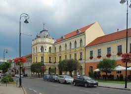 Muzeul național al carpaților rãsãriteni. OraÈul Sfantu Gheorghe Obiective Turistice Covasna DeÈtepÈi Ro