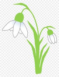 Image result for ghiocel