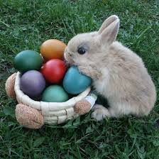 Hier finden sie die passenden ostergeschenke für familie und freunde. Kleine Ostergeschenke Fur Deine Liebsten Bravo