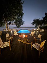 Image result for Grangea zambesiaca