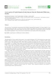 Image result for Crepidorhopalon rupestris