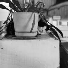 Mingo rv park is located in oklahoma. Mingo Rv Park 48 Photos 13 Reviews Rv Parks 801 N Mingo Rd Tulsa Ok Phone Number