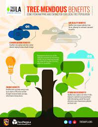 Become A Volunteer Tree Mapper Unite With Treepeople Tree Map Tree Care Infographic