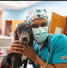 Sugar land veterinary specialists and emergency care. Critter Care Animal Hospital Home Facebook