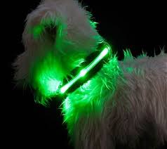 Glow Stick Dog Collar Led Dog Collar Dog Collar Light Dog Collars Leashes