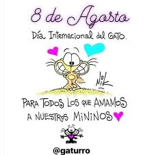 Día internacional del gato, chaclacayo, lima, peru. Memes De Gatos Aka Michis Miau Feliz Dia Del Gato Wattpad