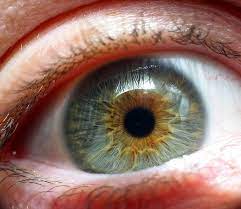 Blue Eye Color With Brown Inner Iris Around The Pupil Macros Photography Sourc E Blue Eye Color Eye Color Floaters And Flashes