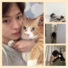 He is a member of the boy group stray kids. ðŒð¢ð§ð¡ð¨ ð¢ð§ ð¥ð¨ð¯ðž ð°ð¢ð­ð¡ ðœðšð­ð¬ Minhos Cats Minho Cats Stray Kids