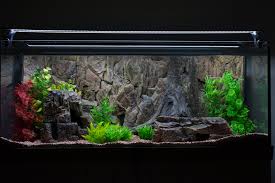 Achterwand Standard Voor Het Aquarium En Terrarium Ceramicnature
