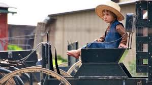 Maybe you would like to learn more about one of these? Where Time Stands Still The Swartzentruber Amish Ohio S Amish Country