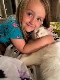 Lost Cat Tobi in Bentonville near Centerton