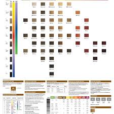 Redken Color Gels Conversion Chart Best Picture Of Chart