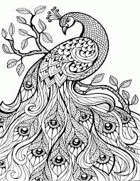 See more ideas about peacock coloring pages, coloring pages, coloring books. Pin On Notebook
