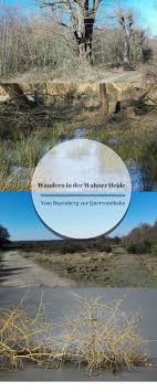 Wandern In Der Wahner Heide Vom Busenberg Zur Querwindbahn Wandern Reisen Ausflug