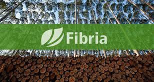 The fiber developed by spinnova is made of fsc certified wood and waste streams. Fibria To Acquire Minority Stake In Finnish Start Up Spinnova Asiapapermarkets