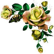 image du blog zezete2 centerblog net dessin rose papier peint a fleurs peinture coloriage bibi et tina