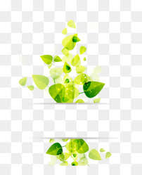 Descargue este archivo hoja de palma, palma, hoja de palma, hojas png o psd de forma gratuita. Vector De Hojas Descarga Gratuita De Png Hoja Verde De La Ilustracion Vector De Hojas De Decoracion Imagen Png Imagen Transparente Descarga Gratuita