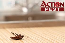 It is a very respected organizations and receive great revenue do to their significant service and professionalism. Preparing Your Home For The Winter The Best Pest Control For The Season Action Pest Control Services