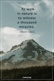 25 Hiking Quotes That Will Inspire Your Next Adventure Hiking Quotes Climbing Quotes Nature Quotes