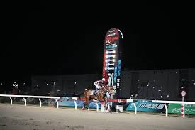 【関東オークス】予想AIは南関東の桜花賞馬を本命視 重賞7勝馬を対抗に、人気の盲点も拾う3連複＆ワイド18点