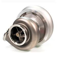 Image result for Turbina holubii