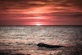 Desktop and mobile phone wallpaper 4k beach waves sunset scenery anime with search keywords beach, waves, sunset, scenery, anime. Sunset Over The Sea Ocean Sea Sunset Waves Beach Red Raspberry Landscape Mood Pxfuel