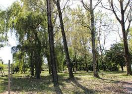 Stayed at la reserve for a relaxing holiday with my wife and three children in. Camping Cote Landaise