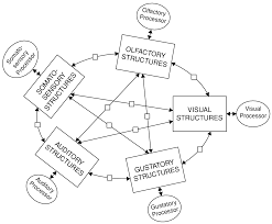 Public opinion is an influential force in politics, culture, fashion, literature and the arts, consumer spending, and marketing and public relations. Applying The Framework Part Ii The Multilingual Mind