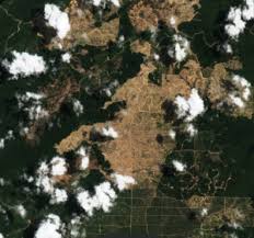 Borneo group office manokwri salah satu kantor cabang dari perusahaan borneo group di manokwari. The Chain Detected Deforestation Within Oil Palm Concessions Has Decreased So Far In 2020 Chain Reaction Research Sustainability Risk Analysis