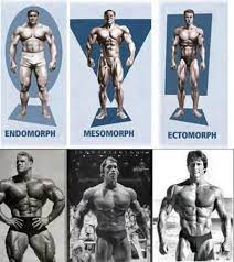 If you are taking a lot of time and not getting good results then you probably don;t have good genes. Genetics In Bodybuilding A Complete Guide On How Genetics Impact Bodybuilding Body Building Duniya