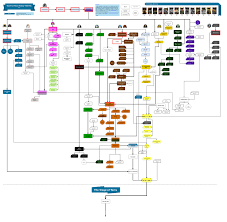 The warhammer timeline spans about 6,000 years and there are hundreds of novels/novellas written by a dozen or more authors. What Is The Shortest Route Through The Horus Heresy Series Science Fiction Fantasy Stack Exchange