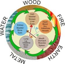 the dao yin yang and the importance of five elements in