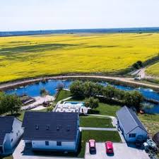 Descoperiti si alte localitati, rezervati cazare in apropiere in conditii chiar mai favorabile! Unitati De Cazare In DunavÄƒÈ›u De Jos 70 Oferte Hotelguru Ro