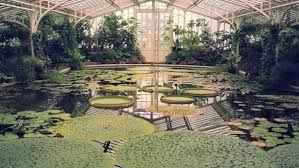 Täglich von 10 bis 17.30 uhr ist das gelände über den eingang an der hauptkasse in der menzinger. Mit Schmetterlingen Im Bauch Durch Den Botanischen Garten Mit Vergnugen Munchen