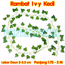 Teh hijau dengan bunga melati (15 kantong x 2g). Https Www Bukalapak Com P Kesehatan 2359 Kesehatan Wanita Pembalut 1rq4iqj Jual Terlaris Pembalut Natesh Ungu Night Malam Hari 2019 08 14 0 5 Https Www Bukalapak Com P Fashion Pria Dompet 302 1rq4ir3 Jual Super Sale Cj Wallet Pria Fuerd