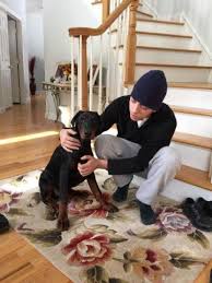 Check spelling or type a new query. Akc Doberman Pinscher Puppies For Sale In Stormville New York Classified Americanlisted Com