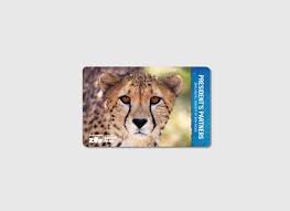 Portfolio Kara Eganhouse