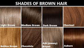 Light Brown Hair Color Chart World Of Label Brown Hair