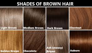 light brown hair color chart world of label brown hair