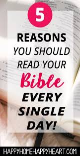 5 Important Reasons Why Every Christian Should Study The Bible Bible Studies For Beginners Read Bible Scripture Study