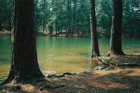 Pin On Scenery