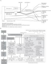 We did not find results for: Decarbonizing The Food And Beverages Industry A Critical And Systematic Review Of Developments Sociotechnical Systems And Policy Options Sciencedirect