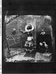 Bildergebnis für Shelly Rusten